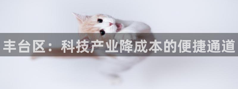 云顶国际app是什么：丰台区：科技产业降成本的便捷通道