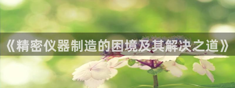 云顶讲解：《精密仪器制造的困境及其解决之道》