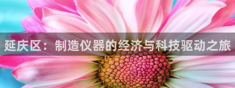 云顶国际培训机构：延庆区：制造仪器的经济与科技驱动之旅