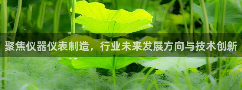 云顶国际旅行社电话：聚焦仪器仪表制造，行业未来发展方向与技术