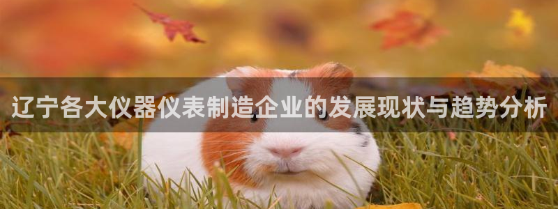 云顶国际平台是真的吗：辽宁各大仪器仪表制造企业的发展现状与趋