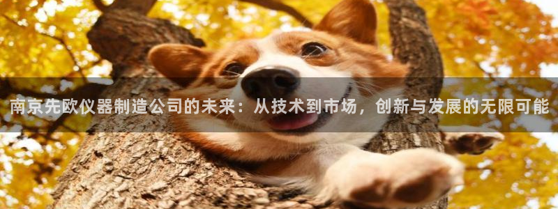 云顶国际广场物业电话：南京先欧仪器制造公司的未来：从技术到市
