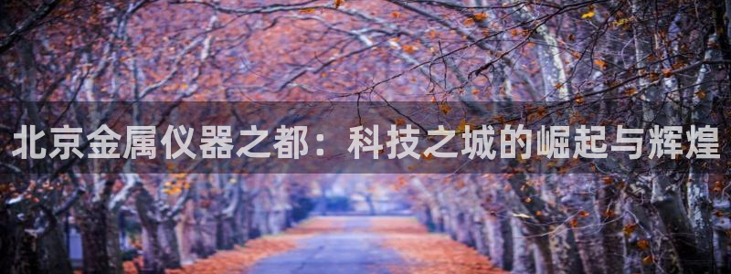 云顶国际集团app：北京金属仪器之都：科技之城的崛起与辉煌
