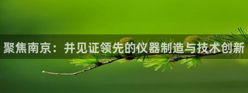 云顶集团3118acm：聚焦南京：并见证领先的仪器制造与技术