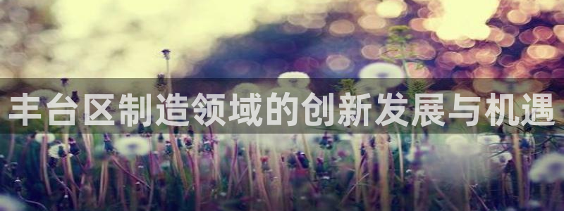 云顶ktv国际会所：丰台区制造领域的创新发展与机遇