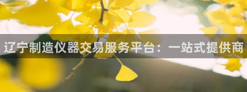 云顶集团网投领：辽宁制造仪器交易服务平台：一站式提供商