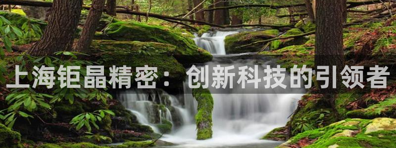 云顶国际是正规游戏吗知乎：上海钜晶精密：创新科技的引领者