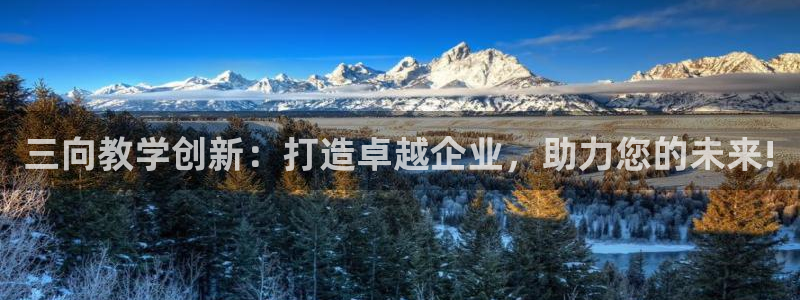 下载云顶国际app：三向教学创新：打造卓越企业，助力您的未来