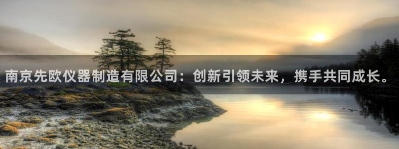 云顶的网址是多少：南京先欧仪器制造有限公司：创新引领未来，携