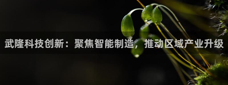 云顶国际酒店位置图：武隆科技创新：聚焦智能制造，推动区域产业