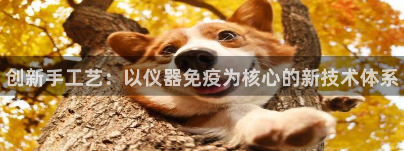 云顶集团中国公司：创新手工艺：以仪器免疫为核心的新技术体系