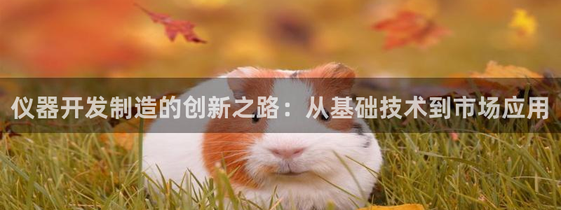 云顶集团是哪个国家的：仪器开发制造的创新之路：从基础技术到市