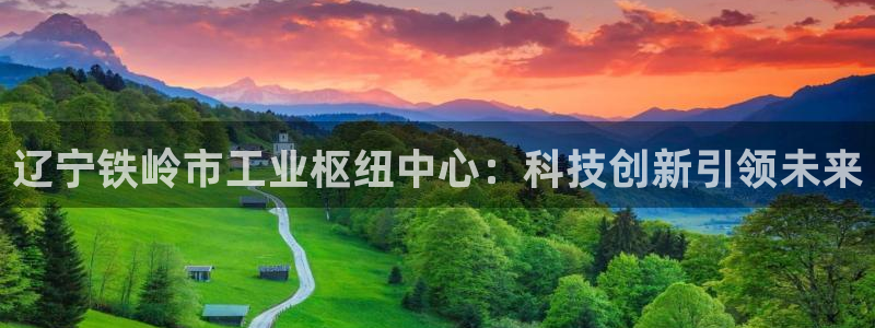 云顶国际服是哪个服：辽宁铁岭市工业枢纽中心：科技创新引领未来